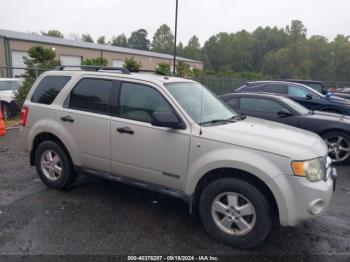  Salvage Ford Escape