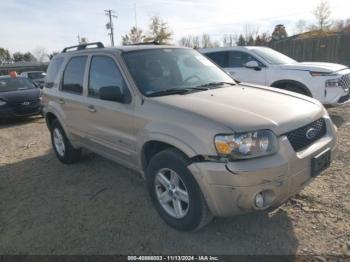  Salvage Ford Escape