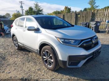  Salvage Honda CR-V