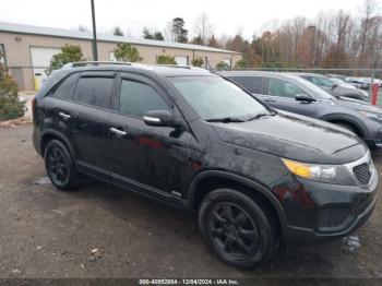  Salvage Kia Sorento