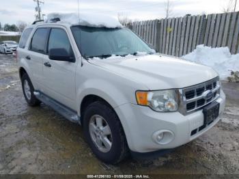  Salvage Ford Escape