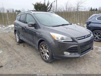  Salvage Ford Escape