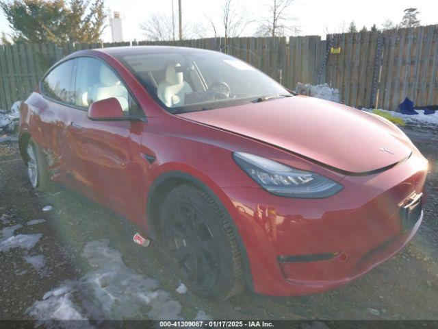  Salvage Tesla Model Y