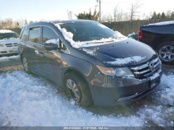  Salvage Honda Odyssey