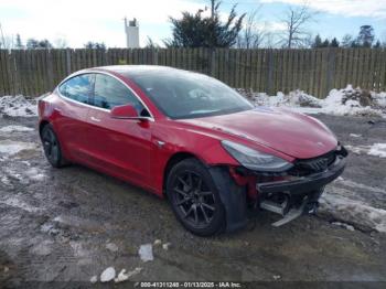  Salvage Tesla Model 3