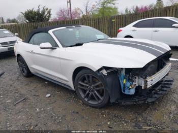  Salvage Ford Mustang