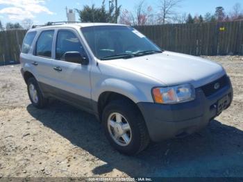 Salvage Ford Escape