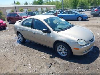  Salvage Dodge Neon