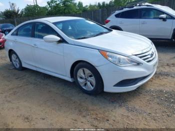  Salvage Hyundai SONATA