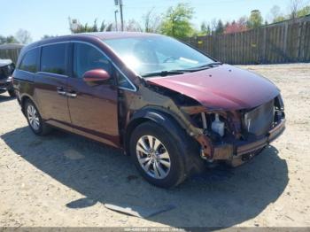  Salvage Honda Odyssey