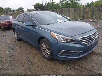  Salvage Hyundai SONATA