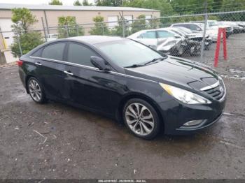  Salvage Hyundai SONATA