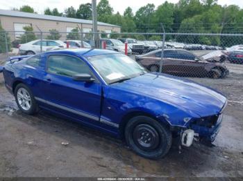  Salvage Ford Mustang
