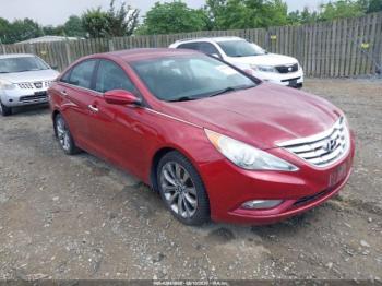  Salvage Hyundai SONATA