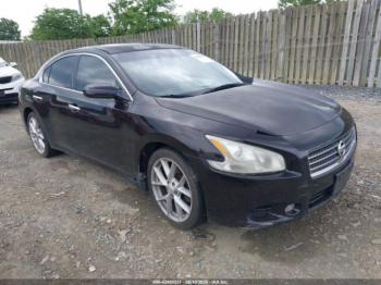  Salvage Nissan Maxima