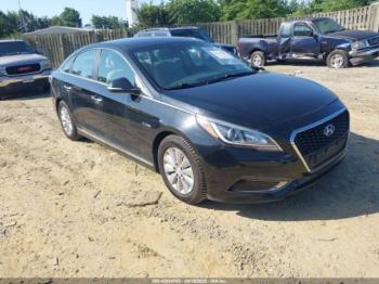  Salvage Hyundai SONATA
