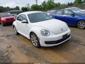  Salvage Volkswagen Beetle