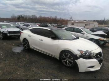  Salvage Nissan Maxima