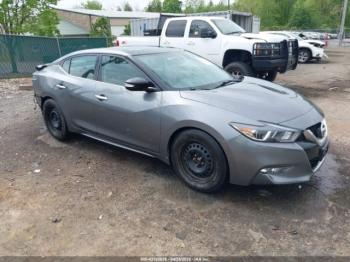  Salvage Nissan Maxima