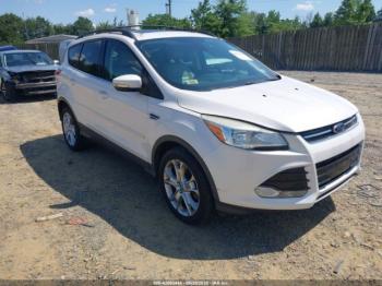  Salvage Ford Escape