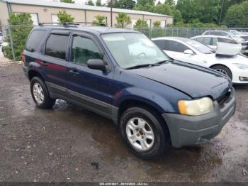  Salvage Ford Escape