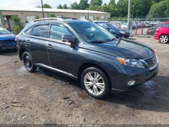  Salvage Lexus RX