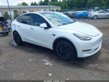 Salvage Tesla Model Y