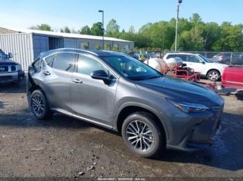  Salvage Lexus NX