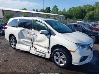  Salvage Honda Odyssey