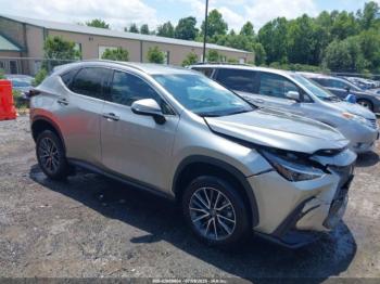  Salvage Lexus NX