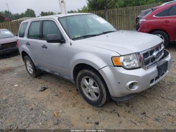  Salvage Ford Escape