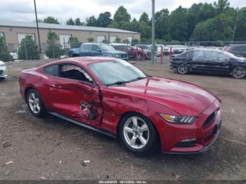  Salvage Ford Mustang