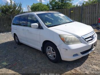  Salvage Honda Odyssey