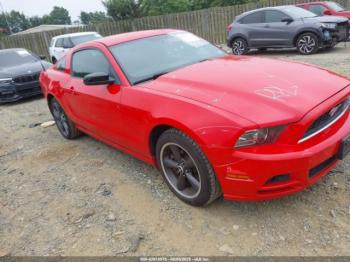  Salvage Ford Mustang