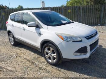  Salvage Ford Escape