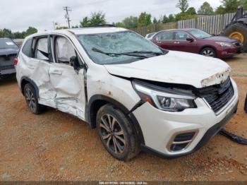  Salvage Subaru Forester