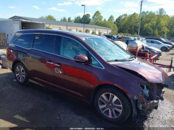  Salvage Honda Odyssey
