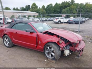  Salvage Ford Mustang