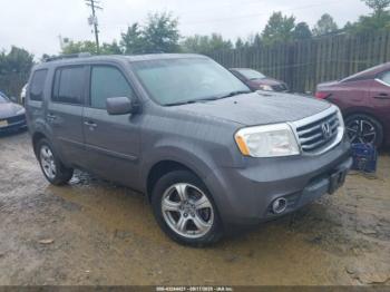  Salvage Honda Pilot