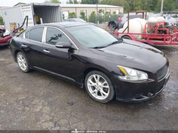  Salvage Nissan Maxima