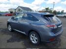 Lexus RX Image 7