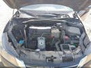 Honda Accord Ex Image 8