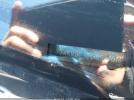 BMW X Series Xdrive35i Image 15