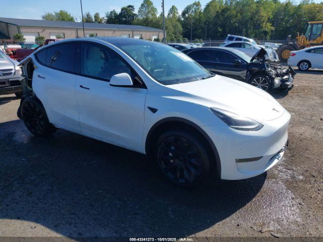  Salvage Tesla Model Y