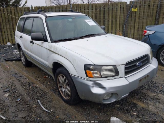 Subaru Forester 2.5xs L.l. Bean Image 1