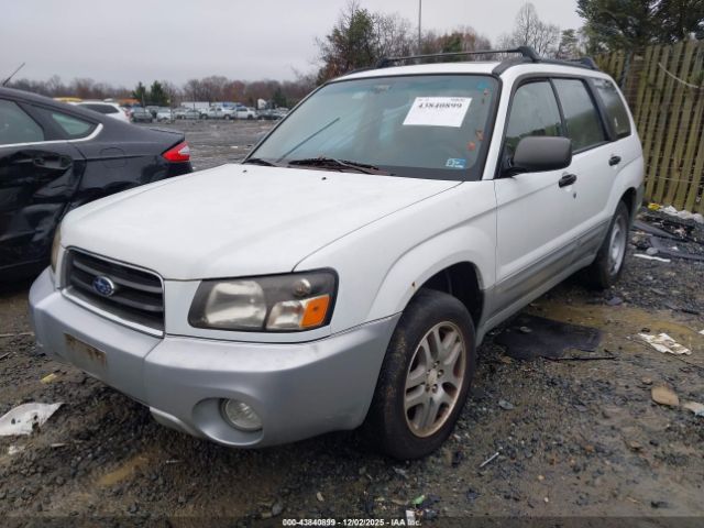 Subaru Forester 2.5xs L.l. Bean Image 8