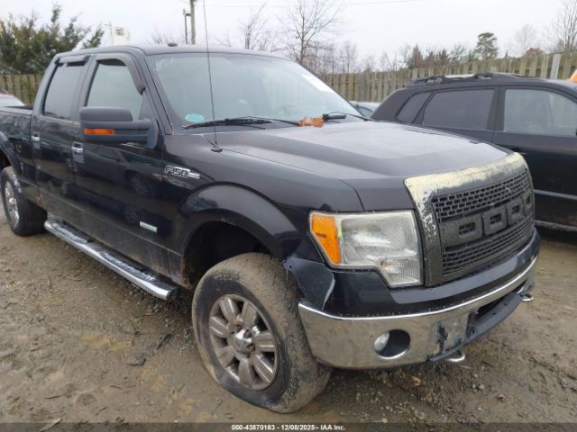 Ford F-150 Xlt Image 1