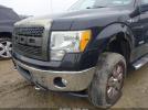 Ford F-150 Xlt Image 4