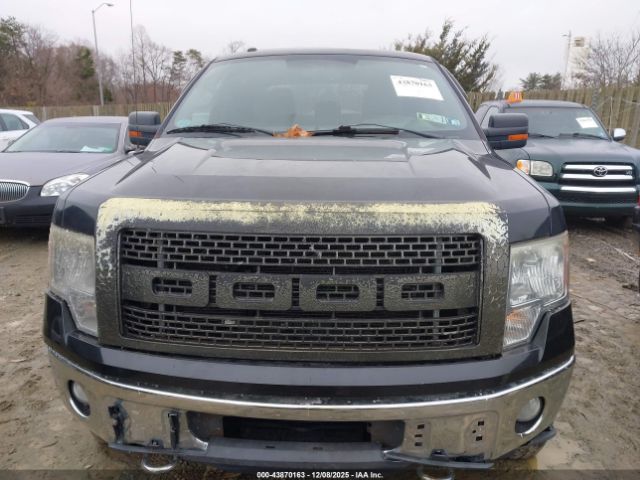Ford F-150 Xlt Image 10