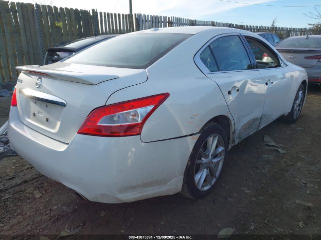 Nissan Maxima 3.5 Sv Image 11